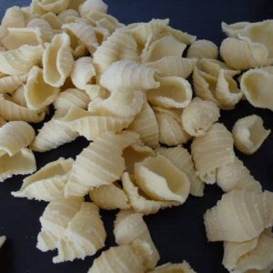 Matrize Bronze - Conchiglia / Muschel – Bild 7