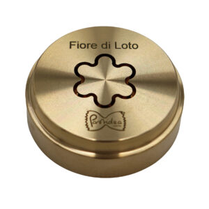 250 fiore di loto img 0740 disco copia