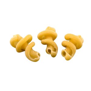 255 funghi giganti img 0760 pasta copia