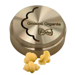 265 gnocco gigante img 0802 copie disque