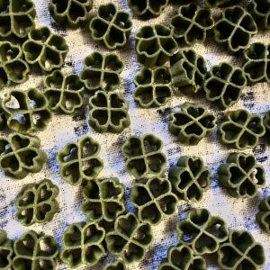 matrize aus pom gramigna 4,5 mm für philips avance / 7000 serie