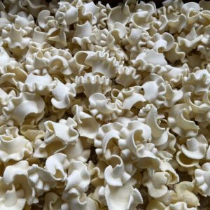 matrize aus pom conchiglia cresta für philips avance / 7000 serie