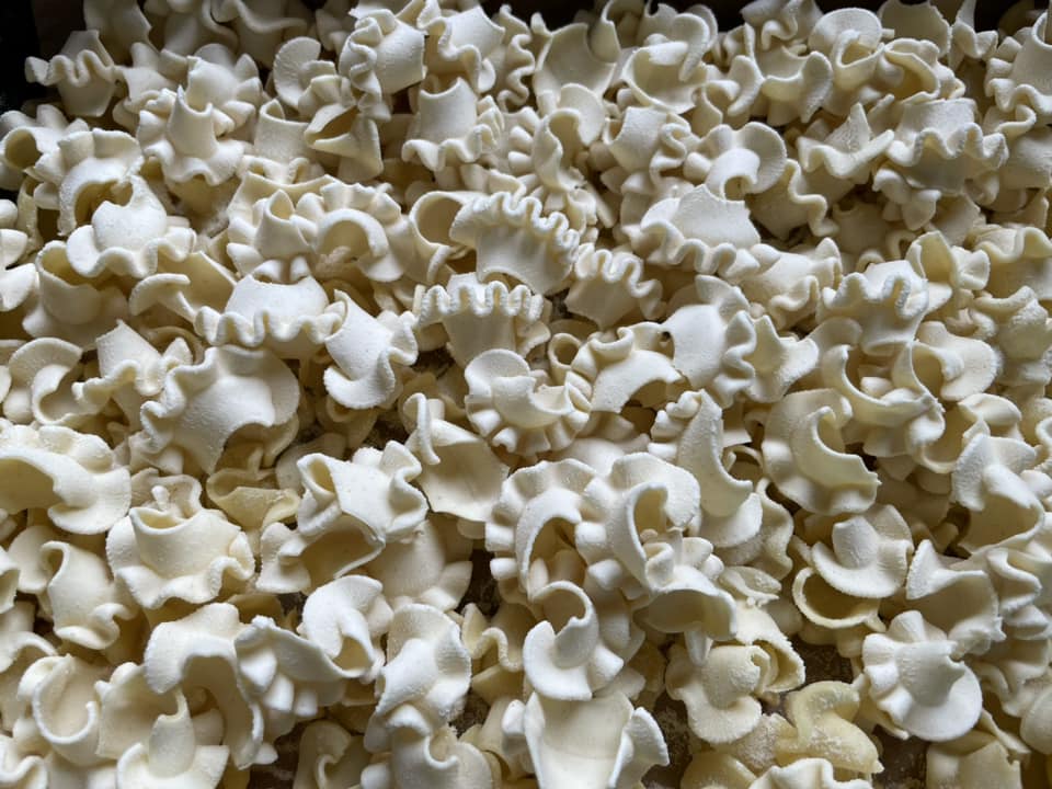 matrix made of pom conchiglia cresta for philips avance / 7000 series