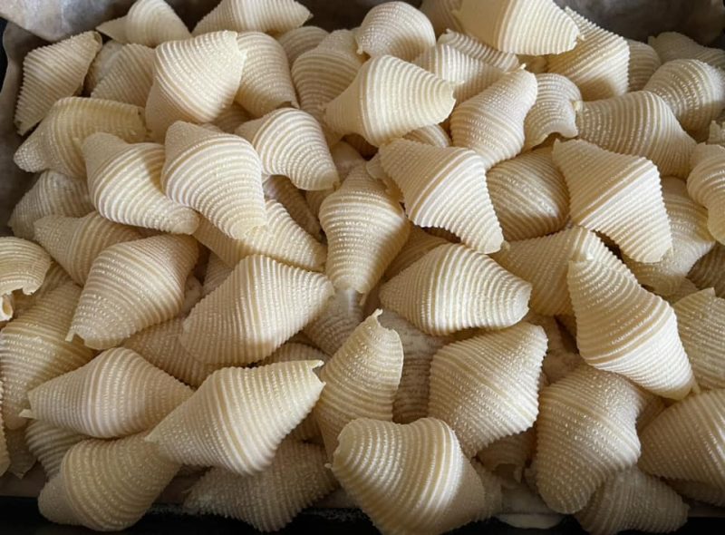 matrize aus pom conchiglione rigato für philips avance / 7000 serie