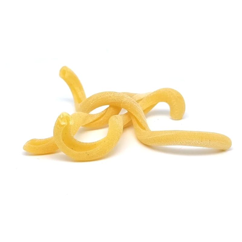 matrize pom fileja calabrese für philips pastamaker avance / 7000er