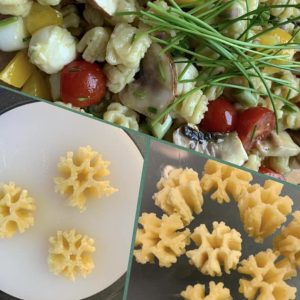 matrize aus pom schneeflocke für philips avance / 7000 serie