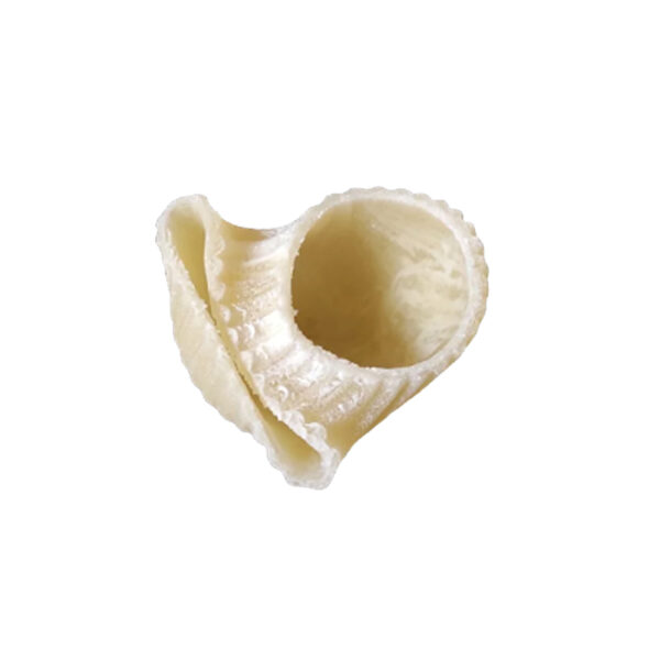 die made of pom canestro rigato for philips avance pasta
