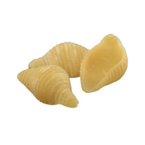 die made of pom conchiglia for kitchenaid pasta