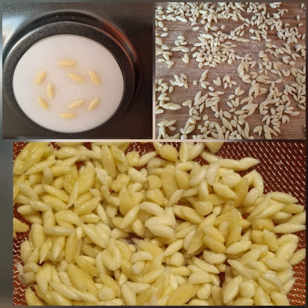 Troquel hecho de pom risone kritharaki para philips pastamaker avance / serie 7000