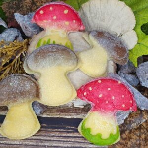 ravioli mushroom brush1