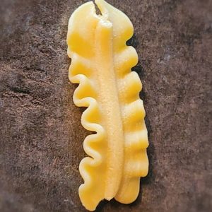 matrize aus pom festonata doppia für philips avance / 7000 serie