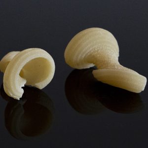 matrize aus bronze gnocco napoletano für la fattorina vip2, vip4, fimar mpf 2.5, mpf 4, pf25e, pf40e