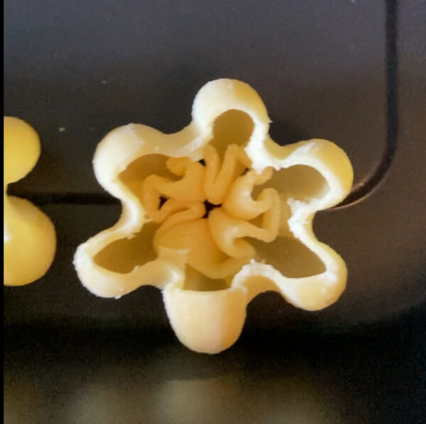 matriz hecha de pompón flor de loto xl philips avance / serie 7000