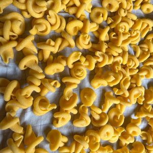 matrize pom funghi giganti / pilze groß (trulli, trottole, schneckle) für philips pastamaker avance / 7000er