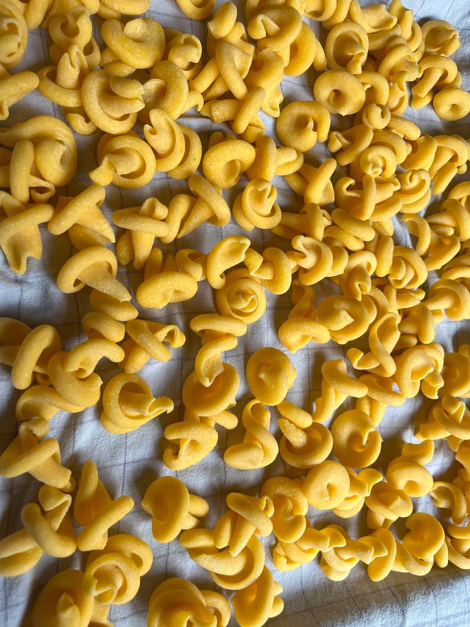 matrize pom funghi giganti / pilze groß (trulli, trottole, schneckle) für philips pastamaker avance / 7000er