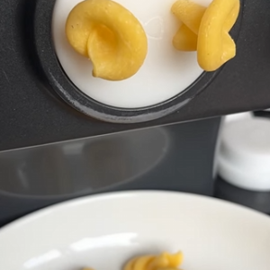 matrize pom funghi giganti / pilze groß (trulli, trottole, schneckle) für philips pastamaker avance / 7000er