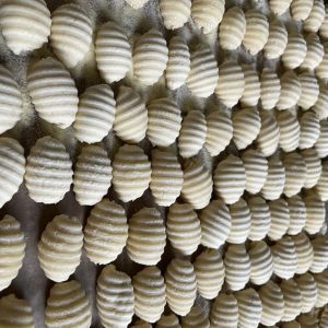 matrize aus pom gnocchi di patate / kartoffelgnocchi 35 mm für philips avance / 7000 serie