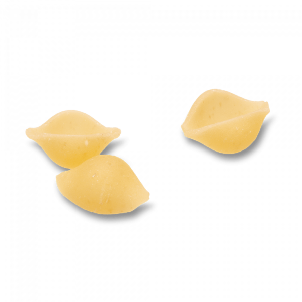 filière en pom conchigliette liscie 17 mm pour machine à pâtes philips