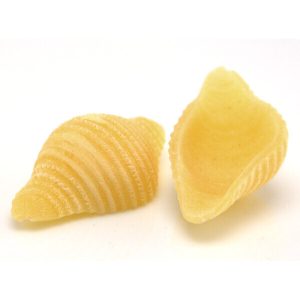 die made of pom conchigliette rigate 17 mm for philips pasta maker (copy)