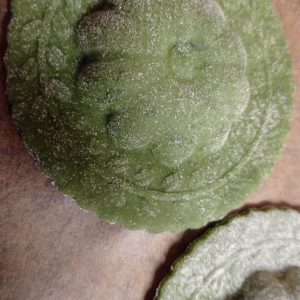 set 5 ausstecher rund, gewellt, ravioli kekse minipizza cookies dumpling