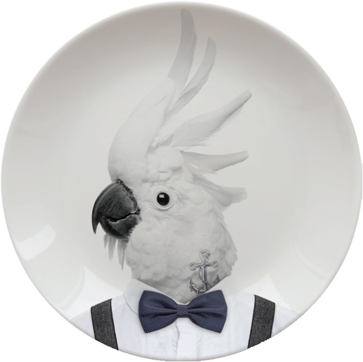 teller colin cockatoo