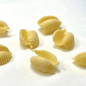 matrize aus bronze guscio rigato