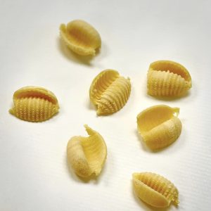 matrize aus bronze guscio rigato