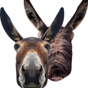 nilpferd hippo entsteiner entkerner für kirschen und oliven