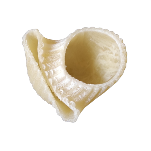 matrize aus bronze pappardelle 15mm la fattorina vip2, vip4, fimar mpf 2.5, mpf 4, pf25e, pf40e, nmf8 (kopie)