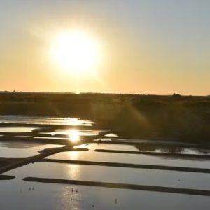 natürliches meersalz aus der bretagne (frankreich) gomasio 50 g