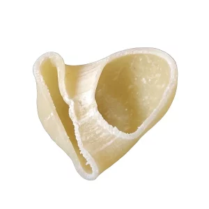 matrize aus bronze fusilli a3 10 mm für tr70 sela la pastaia korngold avancini omegaone