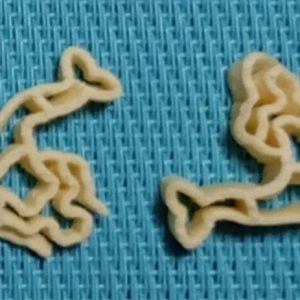 matrize pom sommer (meer, muscheln) für philips pastamaker avance / 7000er