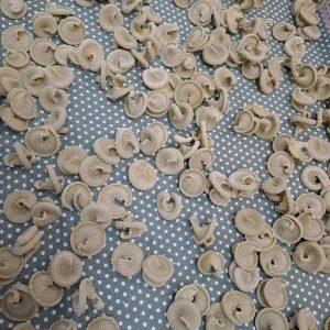 matrize aus pom disco volanti / ufo trulli für philips avance / 7000 serie