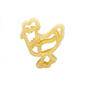 matrize aus pom kürbis pumpkin für philips avance / 7000er serie