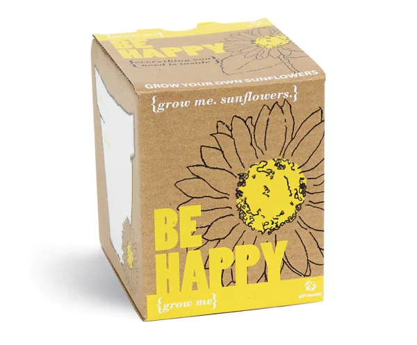 bee happy 5 handmade seedbombs (copy)