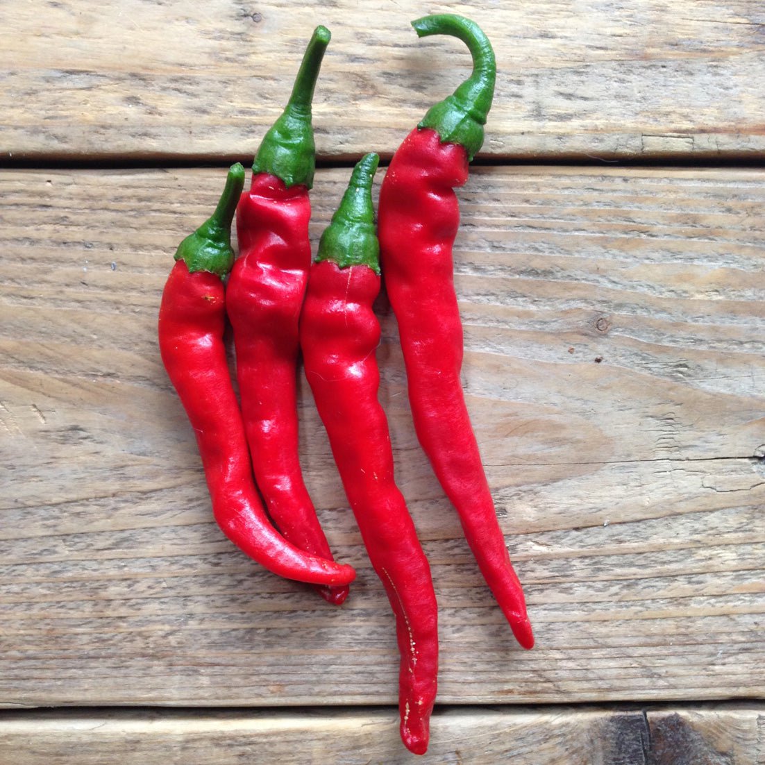 semillas de tomate san marzano