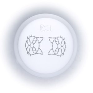 matrize pom feline / katzenköpfe für philips pastamaker avance / 7000er