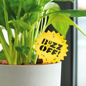 insektenfalle: gelbsticker für zimmerfliegen 10er set / 5 motive