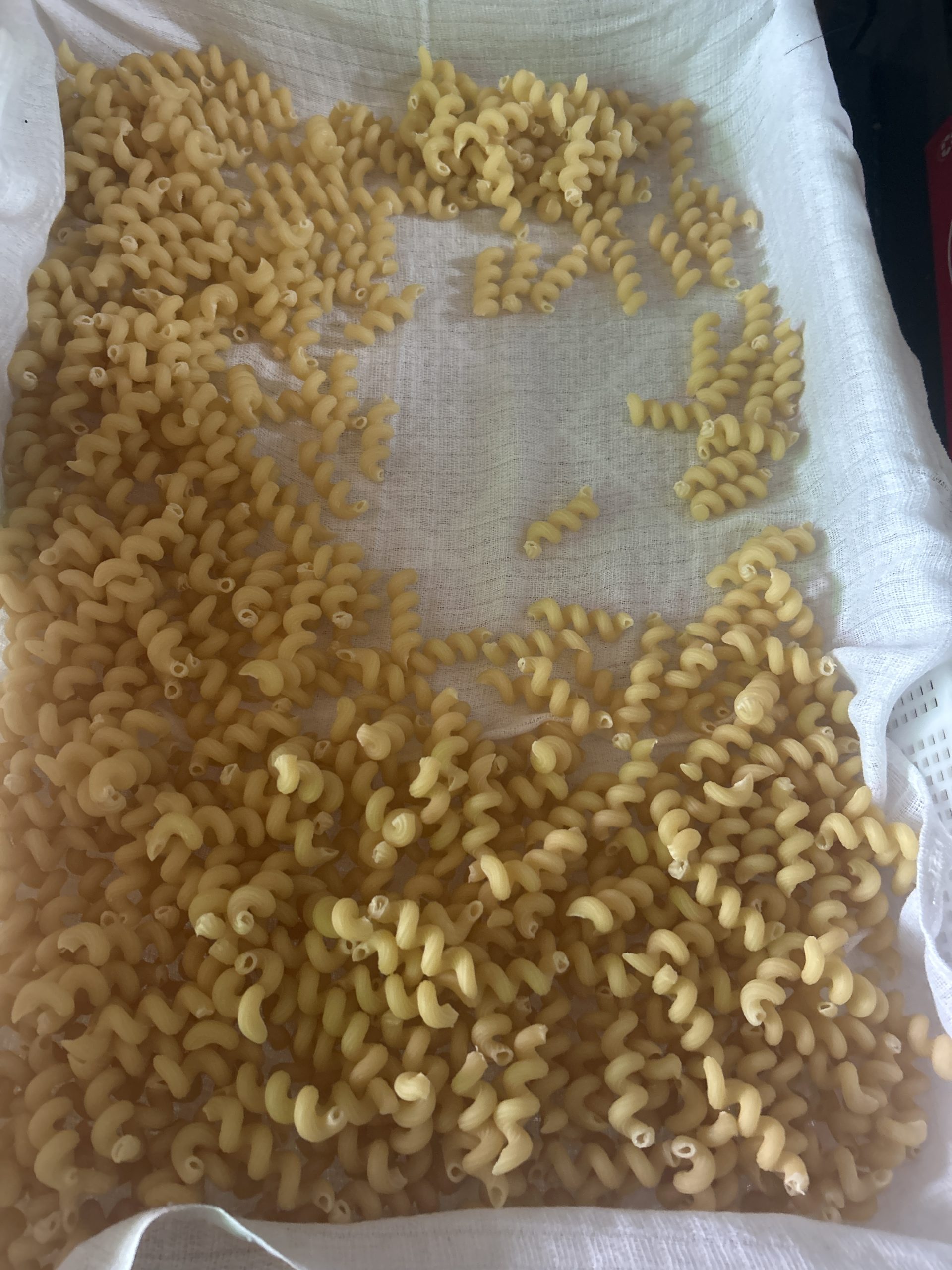 matrize messing/teflon amori für tr70 sela la pastaia korngold avancini omegaone