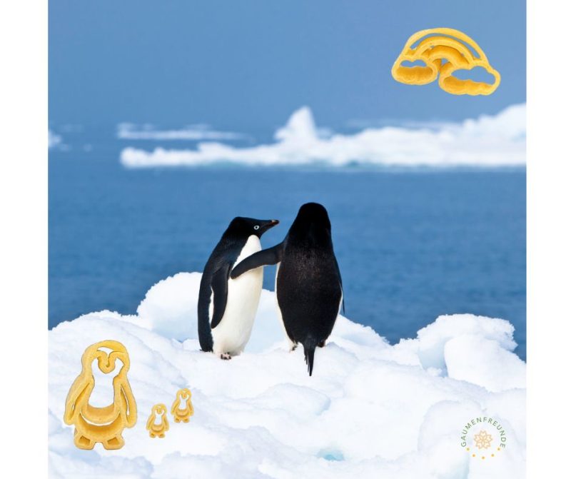 matrize pom pinguin für philips pastamaker avance / 7000er
