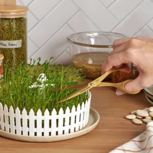 saatgutspender / keimhilfe