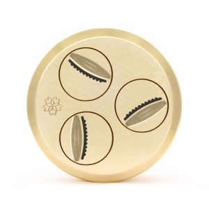 matrize messing gnocchi sardi 19 mm für tr70 sela la pastaia korngold avancini omegaone