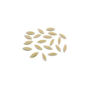 matrize messing risone 12 mm für tr70 sela la pastaia korngold avancini omegaone