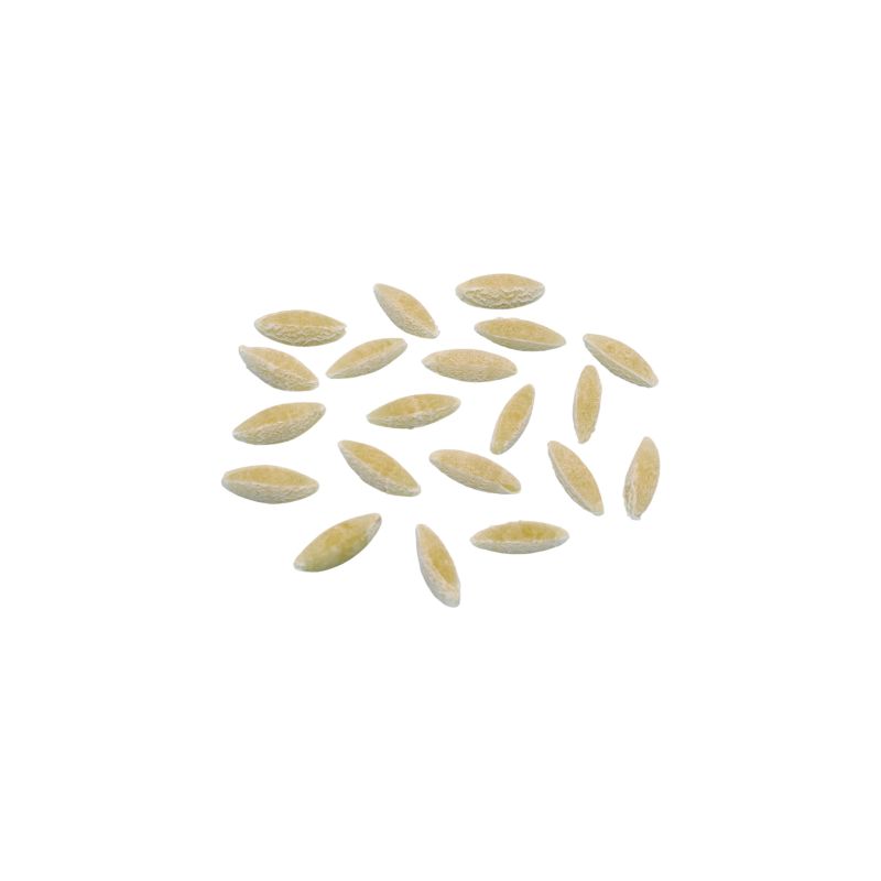 matrize messing risone 12 mm für tr70 sela la pastaia korngold avancini omegaone