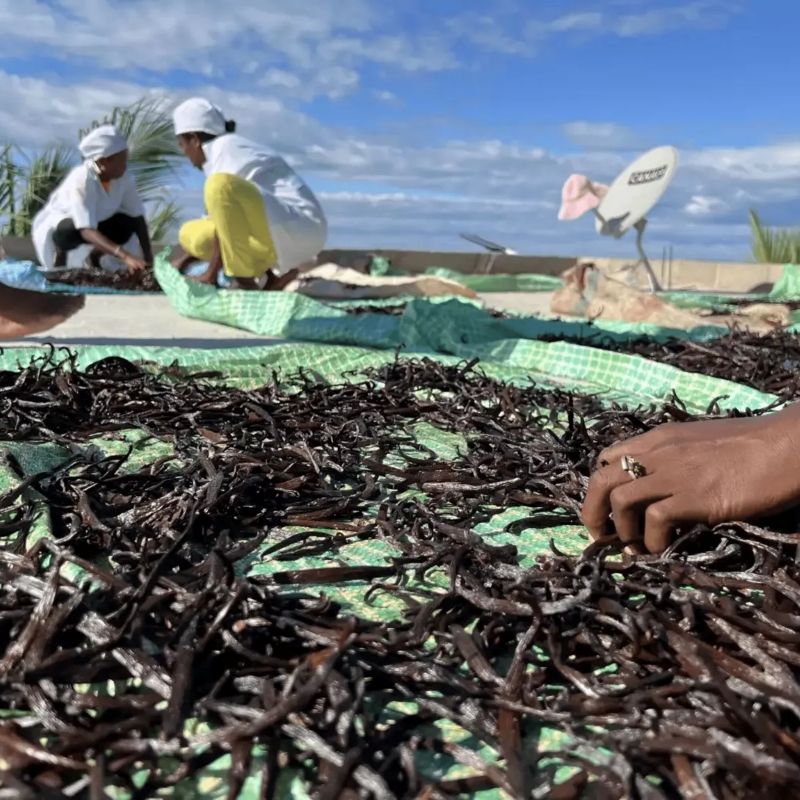 madagaskar vanilleschoten 16 18 premiumqualität 1 stück