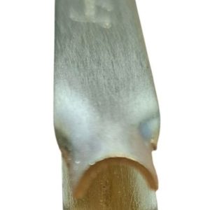 dekor pinzette kreis messing