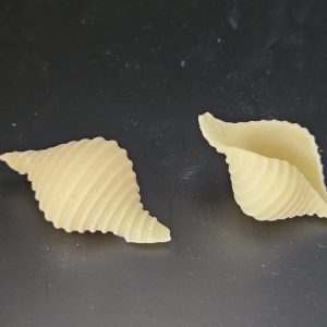 matrize messing conchiglione rigato 45 mm für tr70 sela la pastaia korngold avancini omegaone