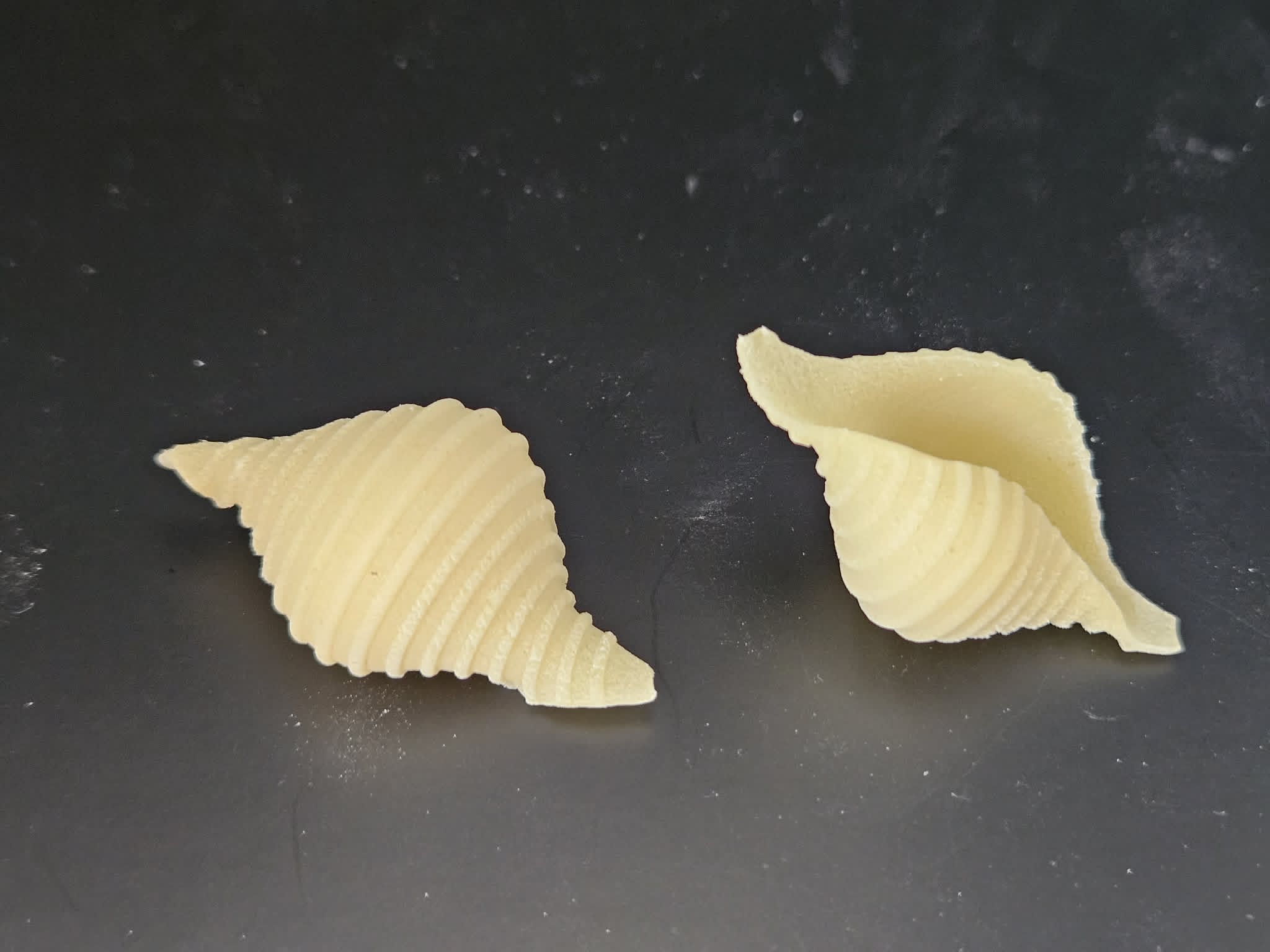 matrize messing conchiglione rigato 45 mm für tr70 sela la pastaia korngold avancini omegaone