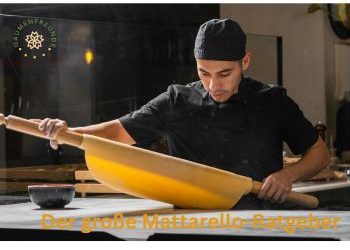 der große matarello ratgeber der große matarello ratgeber