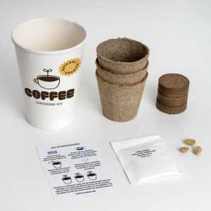 kaffee anbau set